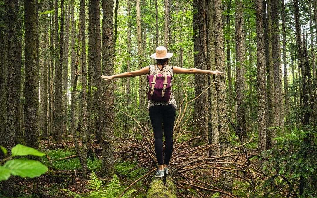Eco-Friendly Travel Destinations With Merritt World Vacations