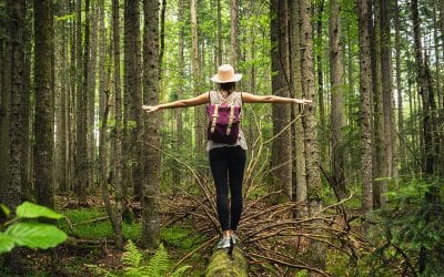 Eco-Friendly Travel Destinations With Merritt World Vacations
