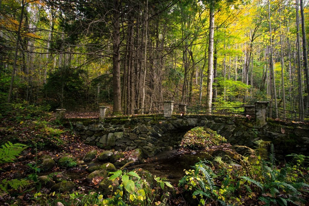 Merritt World Vacations Reviews Top Family Destinations (1)